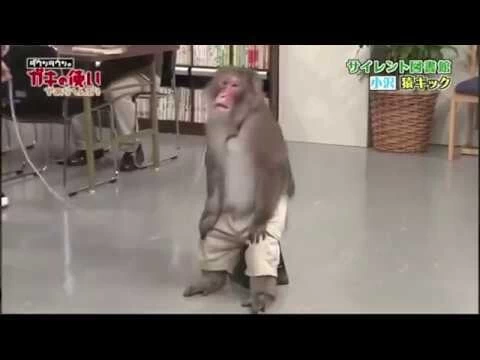 Первый бой с обезьянычами in the nutshell